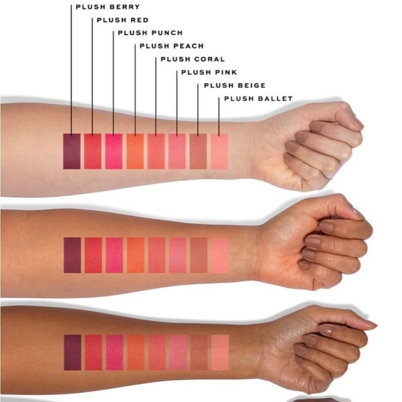 New in Box ~ Jaclyn Cosmetics Plush Blush Blurring Cheek Tint in “PLUSH PUNCH” - Picture 4 of 4